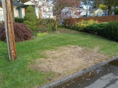 Trugreen chemlawn. 46301. 49022. 46604. 46629. View More. Explore lawn care plans, pest control services and tree and shrub care available from TruGreen lawn care in South Bend, Indiana. 