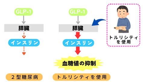 Trulicityペン（デュラグルチド）の副作用、相互作用、用途、薬 …