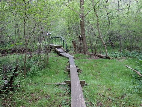 Trumbo Hollow - Linden, VA - HikingUpward