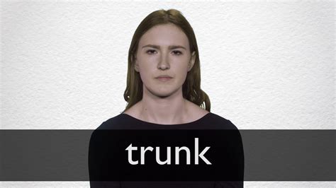 Trunk 351 pronunciations of Trunk in British English