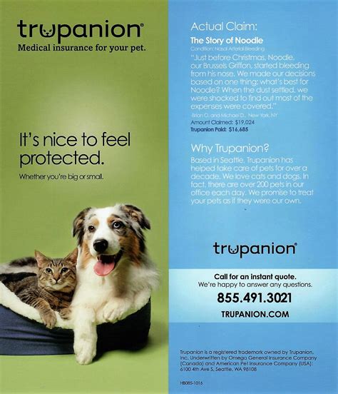 Trupanion Pet Insurance Jobs