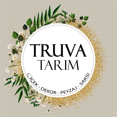 codini.rgarabwor.edu.pl. 