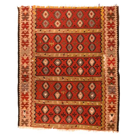 codini.rgarabwor.edu.pl. 