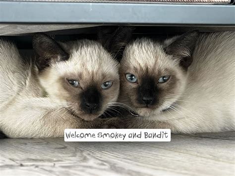 🍆 [CLIP] Trying To Get Her Groups Onlyfans Leaked