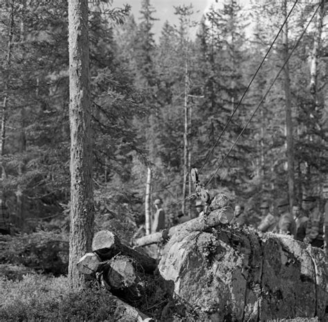 Trysilvassdragets skogeierforening og skogen. - Manuale illustrato per limpianto elettrico download.