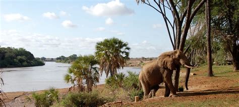 Tsavo East and West Discover Africa Safaris