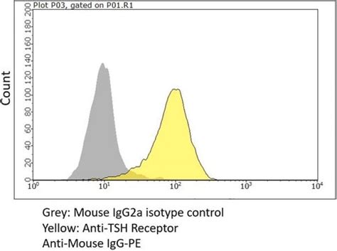 Tsh Sigma-Aldrich