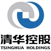 Tsinghua Holdings Co., Ltd. LinkedIn