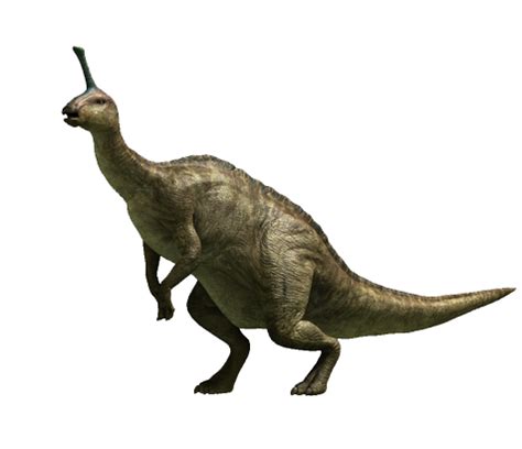 Tsintaosaurus - Wikipedia