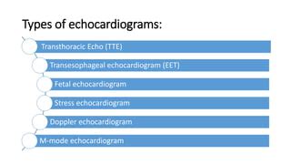 Tte 400 turbo. .  There are several different types of echocardiograms and ea...