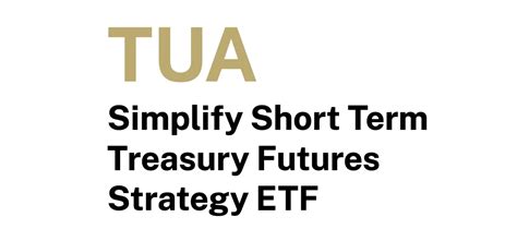Summary. The Simplify Short Term Treasury Futures Strategy ETF aims to match or outperform the ICE US Treasury 7-10 Year Bond Index through leveraged long positions in 2-Year treasury futures. The .... 