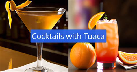 Tuaca Kindred Cocktails