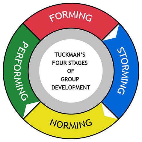 Tuckman model definition