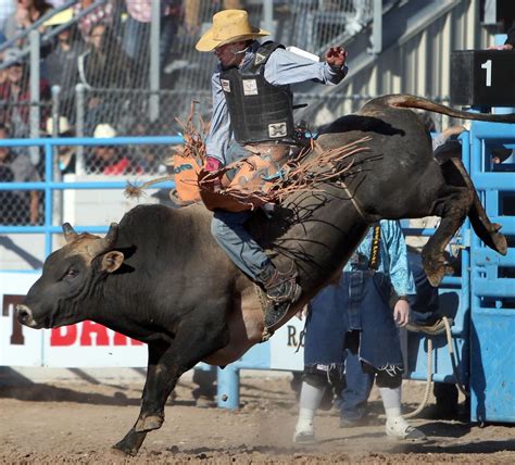 Tucson rodeo. Feb 21, 2024 · TUCSON, ARIZ. (KGUN) — It’s rodeo week in Tucson and along with the rodeo comes the Fiesta de los Vaqueros Tucson Rodeo Parade. And while the Old Pueblo has many traditions, few are as beloved ... 