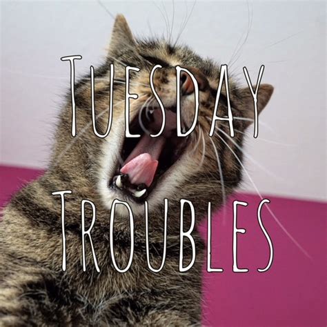 Tuesday Troubles