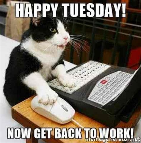 Tuesday memes for work. Tuesday Work Memes To Slightly Improve Your Miserable Day. These memes are for those about to go into that boring-ass corporate Tuesday meeting that literally doesn't … 