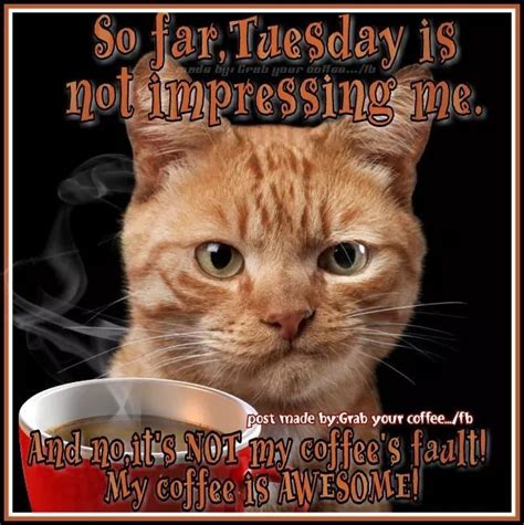 May 9, 2023 · Here are some tips on how to make funny Tuesday morning coffee: 1. Start with the right mug – Choose something bright and cheerful so you can get in the mood for a great day. You can also choose funny mugs or ones with inspiring quotes to give yourself an extra boost in the morning. 2. . 