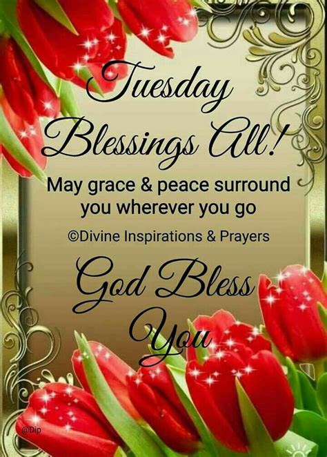 Uplifting Tuesday Blessings. “Tuesday morning blessings to you, my friend! Have a wonderful day.”. “To make this a lovely Tuesday, think about what you can do to make it a sweet Tuesday for someone in your life.”. “An attitude of gratitude is an easy way to make this a fabulous Tuesday.”. “You are the light of my life, my Tuesday ....