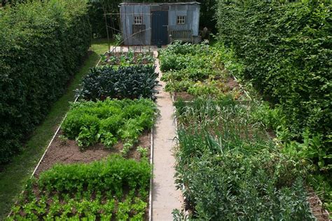 Tuinieren in moestuin