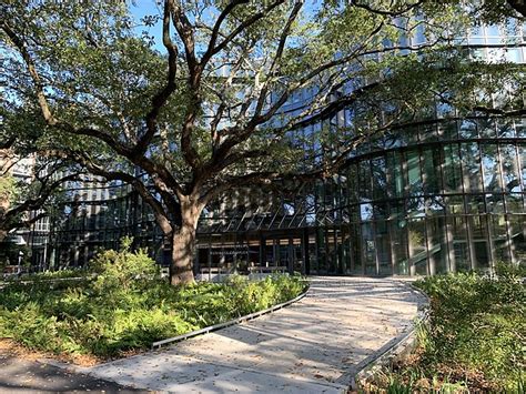 Tulane ea acceptance rate. Emory University’s ED II applicants had a 14% acceptance rate, compared to 9% for regular decisions. However, the most significant boost for Early Decision applicants will come from the ED I ... 