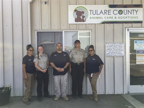 Tulare county animal services. As of June 1, 2019, as part of the new Animal Ordinances approved by the Tulare County Board of Supervisors, all dogs in unincorporated Tulare County are now required to be implanted with a microchip and the information provided to Animal Services, to have a greater ability to reunite pets with owners and decrease impounded animals. 