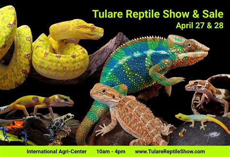 Tulare reptile show. Tulare, CA - World Ag Expo® will return live to the International Agri-Center® showgrounds in Tulare, CA for the 2022 show. The COVID pandemic forced a transition to a digital format for the 2021 show year. "We are excited to be back on track," said Jerry Sinift, International Agri-Center® CEO. "The 2020 show was fantastic but was ... 