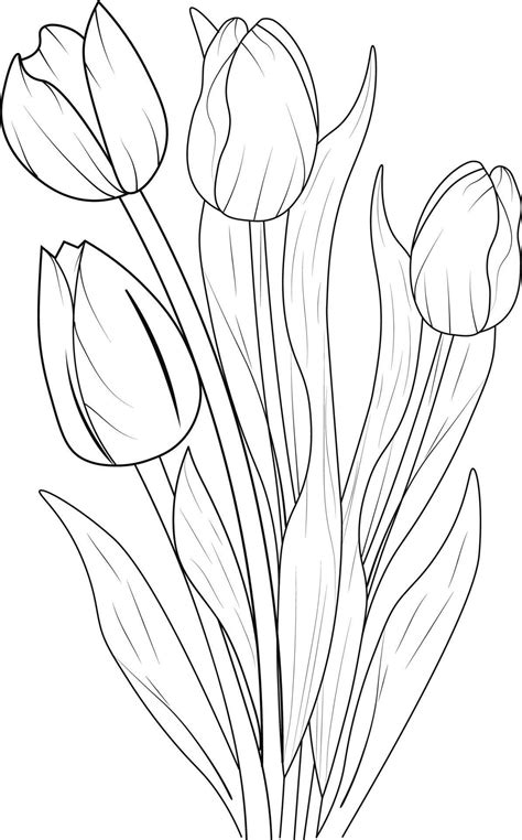 Tulip Spring Flower Coloring Page