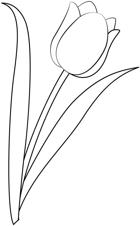 Tulip Stencil Template