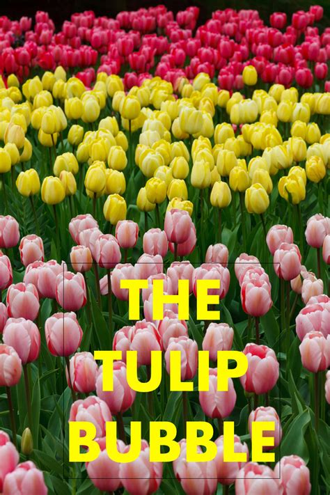 The Dutch tulip bulb market bubble was a pe