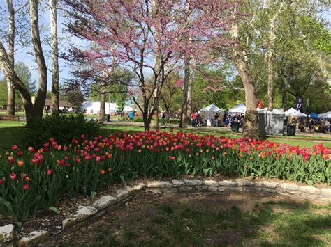 Tulip festival wamego. The Wamego Tulip Festival runs from April 13-14 and is free for everyone to enjoy. You can learn more about the festival by clicking here. For more crime news, click here. 