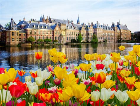 13-May-2021 ... How tulips came to the Netherlands ... The tulip and floral industry in the Netherlands is said to have started with single a tulband bulb.. 