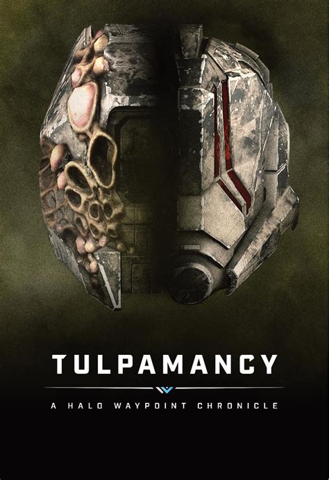 Tulpamancy vs did
