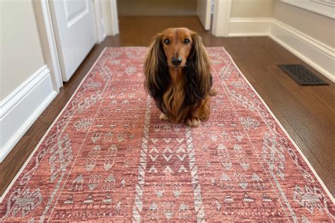 Tumble washable rugs. 21 Jun 2023 ... GET $20 OFF YOUR TUMBLE RUG Mine is the Amara Blush design: https://www.tumbleliving.com/SCARLETT37855 AND FOLLOW ME ON MY OTHER ... 