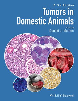 Read Online Tumors In Domestic Animals By Meuten