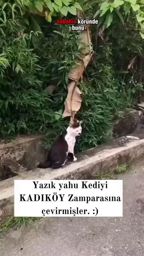 Tuncay Cesur on Reels Facebook.