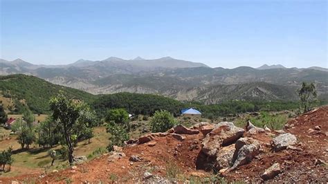 Tunceli Nazimiye terapi halı yıkama