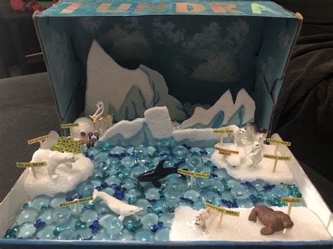 Biome-in-a-Box Diorama (50 points): You may chose from the following biomes: Tundra. Taiga (Coniferous Forest) Desert. Temperate Deciduous Forest. Tropical Rain Forest. Grassland. Freshwater. Saltwater. The box for the project should be shoebox size or larger. The diorama should contain: At least 4 animal species found in your chosen biome.. 
