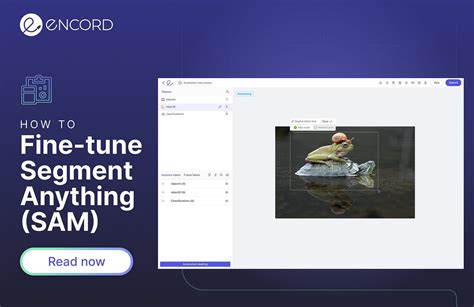 Tune into this segment, and