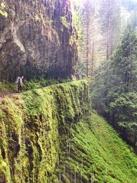 Tunnel falls hike. Hike Description . The hike to Tunnel Falls is one of the most storied day trips in the Pacific Northwest (see the long list of guidebooks below). You'll encounter eight major waterfalls along Eagle Creek and its tributaries, with lots of smaller and seasonal falls in-between. You're also encouraged to add just one more mile … 