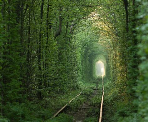 Tunnel of love. Things To Know About Tunnel of love. 
