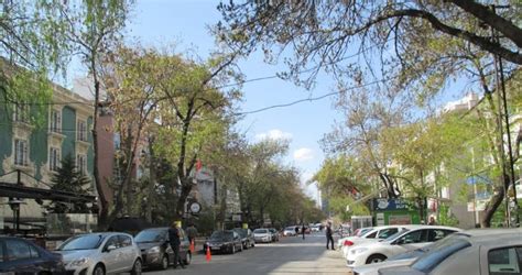 veodersti.rgarabwor.edu.pl. 