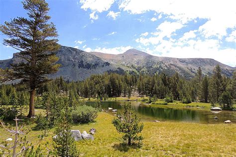 Tuolumne meadows campground. Things To Know About Tuolumne meadows campground. 