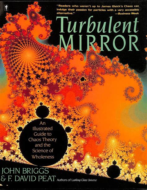 Turbulent mirror an illustrated guide to chaos theory and the science of wholeness. - Achter de schermen van de kunst.