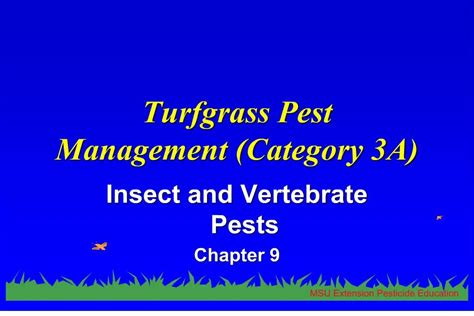Turfgrass insects powerpoint.  When pest problems prevail, consider whether the tu...