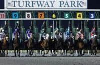 Turfway park entries equibase. Welcome to Equibase.com, ... Entries. All Entries. Thoroughbred; International; Stakes; Harness; More Information. Race Day Changes; Cancellations; ... Turfway Park Charts. Turfway Park November 30, 2022 Print the full card or just the races you need by clicking on the race number. View the ... 