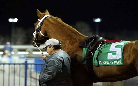 Turfway park scratches. An overflow field of 14 fillies and mares will contest the Saturday feature at Turfway Park. Michael Stidham’s #11 Ready to Venture (2-1) is a perfect three-for-three on the All-Weather in her lifetime, which includes a fine stakes triumph on this surface last time out. 