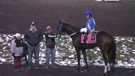 Turfway results. Undefeated since announcing her arrival to Turfway Park with a 10 3/4-length romp to break her maiden last November, Botanical followed that performance up with two more jaw-dropping efforts at a ... 