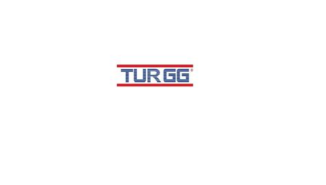 Turgg hisse