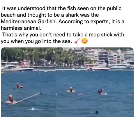 Turkey: Swimmer hits fish with mop thinking it