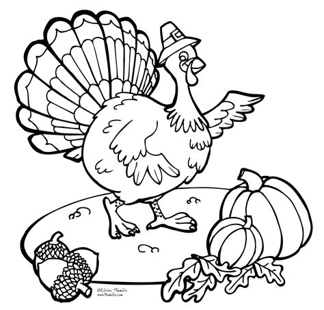Turkey Coloring Book